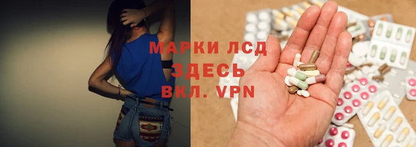эйфоретик Богданович