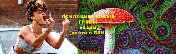 стаф Балахна